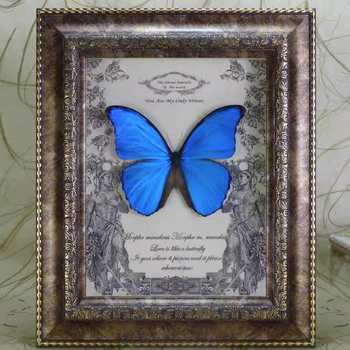 Morpho menelaus reálne motýľ jedincov hmyzu, photo frame Európskom štýle dekoratívne svadobný Deň svätého Valentína darček k narodeninám