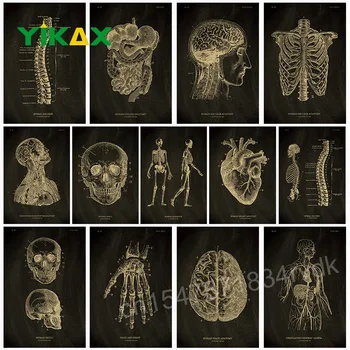 Rámovanie Kreslenie Anatomické Kostra Tabule Plagát Kraft Papier Plagáty Vintage Domov Medicíny Študent Dekor Lekárske Umenie Poste