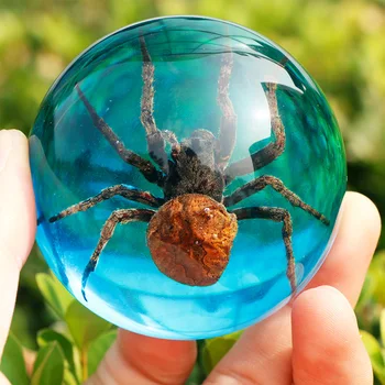 Skutočný Vzor Zvierat Veľký Pavúk Scorpion Svietiace Žiarivky Polkruhu Živice Remeselné Bytového Zariadenia Zber