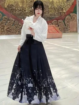 Čínsky Štýl, Ženy, Mládež Čínsky Nový Rok Oblečenie Falda Hanfu Mujer Dynastie Ming Šaty Mamianqun Sukne Hanfu Moderné