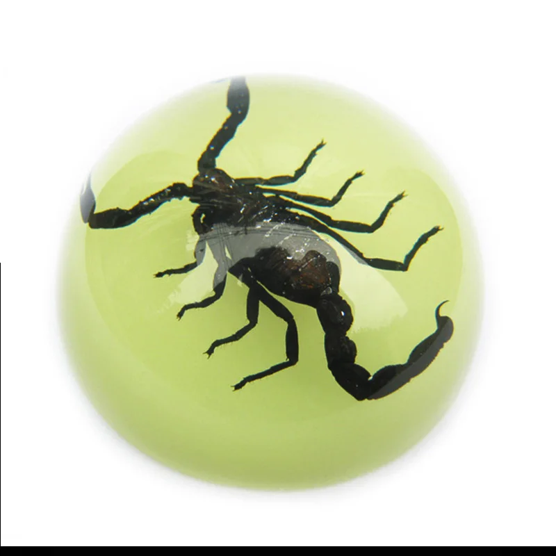 Skutočný Vzor Zvierat Veľký Pavúk Scorpion Svietiace Žiarivky Polkruhu Živice Remeselné Bytového Zariadenia Zber